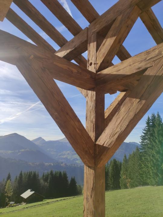 Structure charpente. Poutre mélèze hachée brossée de couleur claire. Sapins verts, ciel bleu et montagnes en arrière plan.