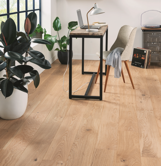 Photo d'ambiance intérieur. Parquet en chêne marron clair. Baie vitée. Bureau avec chaise et plante verte.