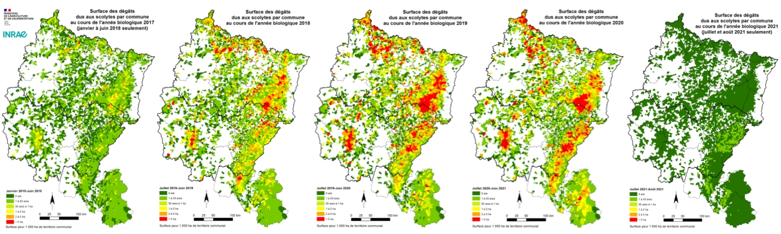 Évolution des dégâts des scolytes de 2017 à 2021